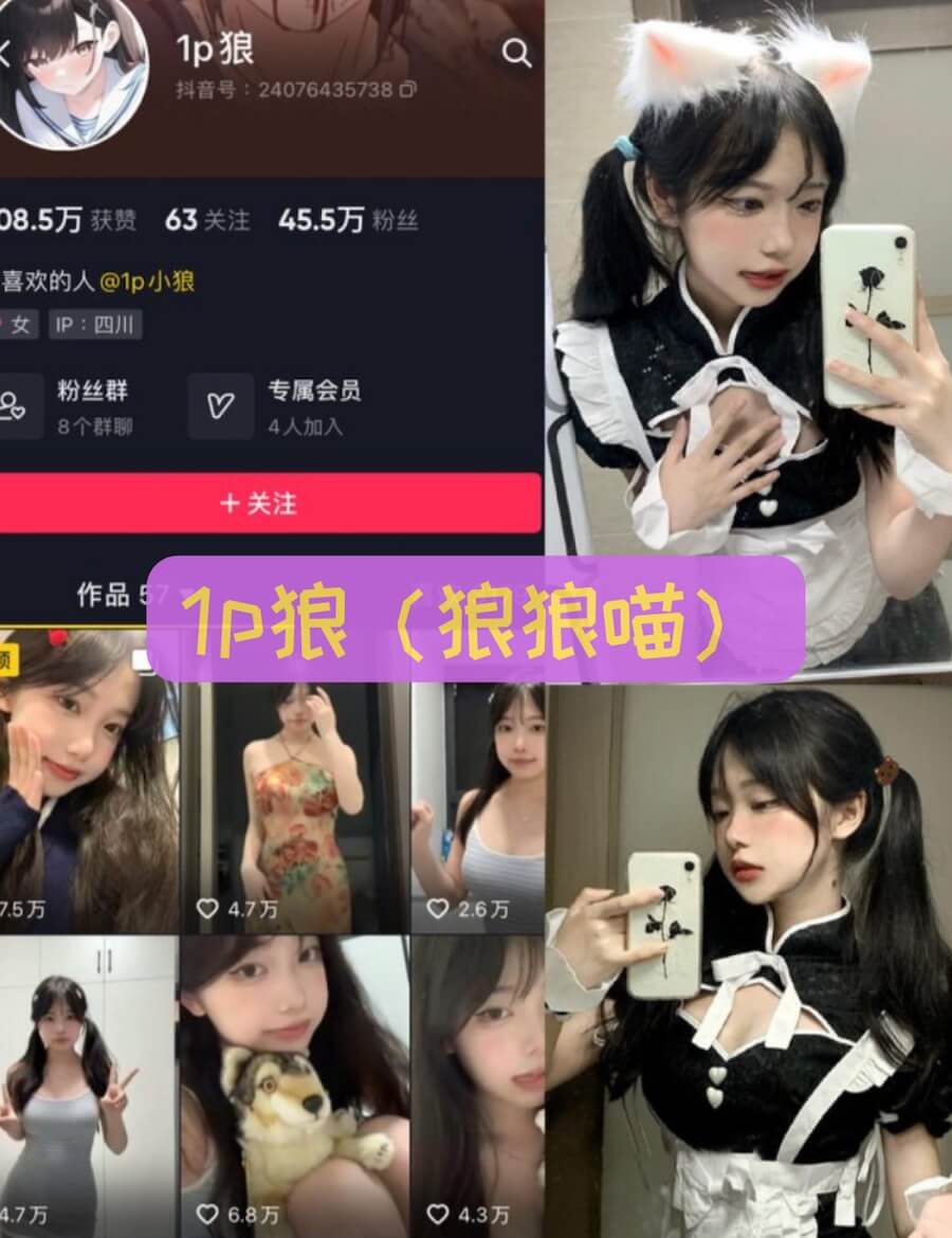 觅圈维密圈 抖音 1p狼(狼狼喵) 性感写真合集大全资源下载[22套][25年最新作品更新]