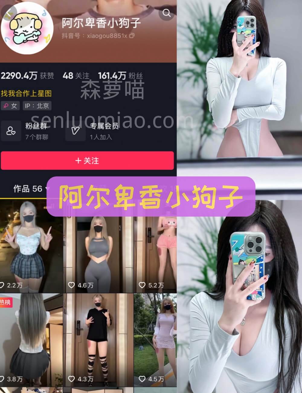 觅圈 微密圈 阿尔卑香小狗子 粉袜短裙写真合集资源下载[64套]